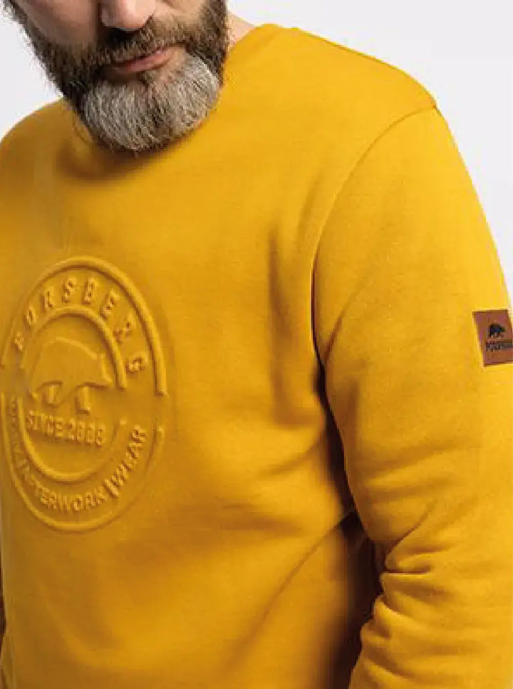 Eingangstür mit modernem Design und Glasfenstern, umgeben von einer gestreiften Mauer.